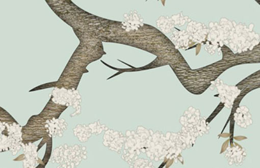 属牛儿童十二岁本命年戴什么 整体运势如何