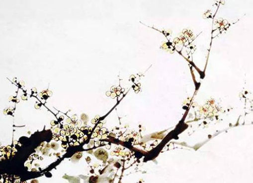 本命年有什么大忌 属牛戴什么好