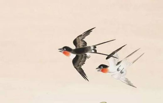 1973属牛女婚姻命运 在爱情中会有什么弱势