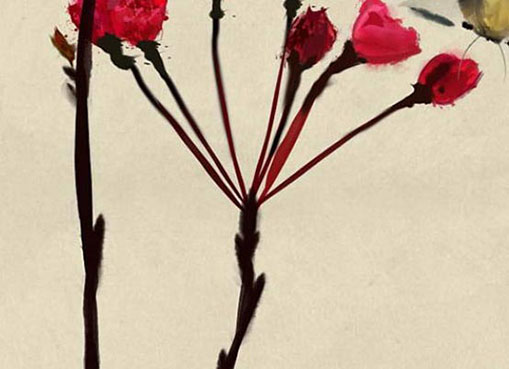 为什么都要生牛宝宝 一生运势会怎么样