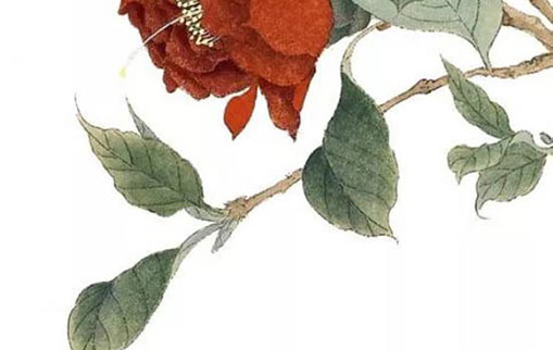 021年二月出生牛宝宝命好不好 牛宝宝运势如何