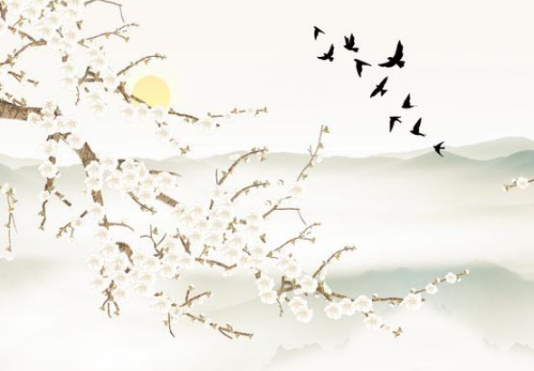 82年狗40岁后十年大运运程 事业运整体理想