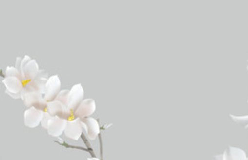 1997年湖内之牛什么意思 这一年出生的属牛人命运解析