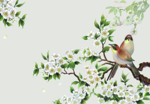 牛宝宝和什么属相父母相配 与属蛇父母合财