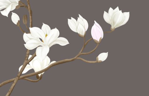 八字是双牛的人命苦吗 属牛人老年时期运势如何