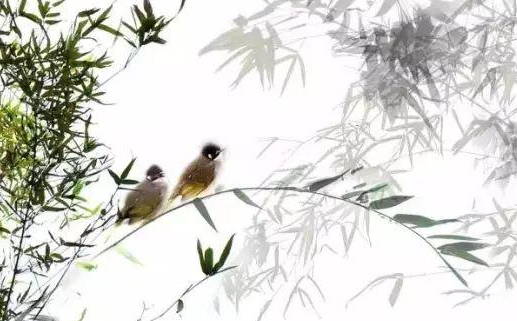 属牛男人要属什么的宝宝最好 属牛的男人命运如何