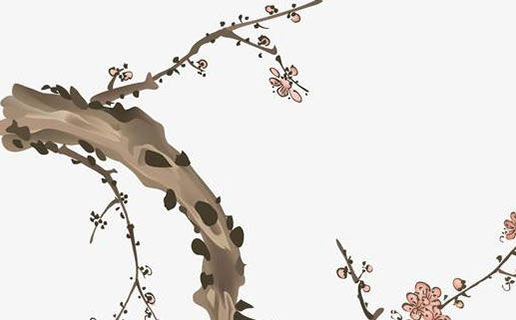 属牛的人适合穿红色衣服吗 五行属火的人不要使用太多红色