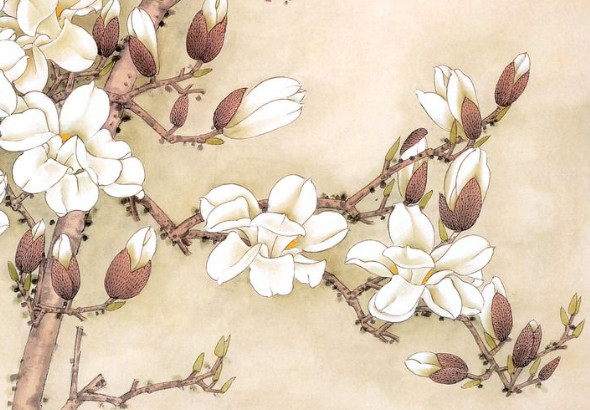 海内之牛是什么命 晚年享福 命中出现很多富贵