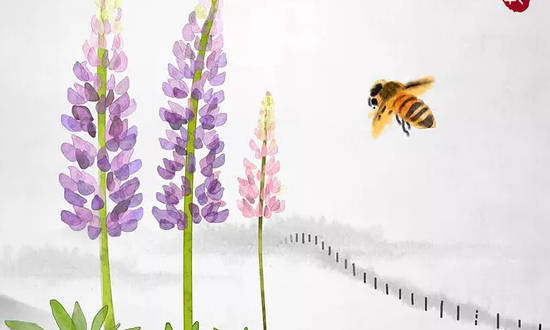 土命人好不,土命人适合什么职业