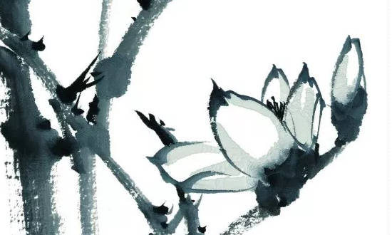 八字土多人笨,这是什么原因呢