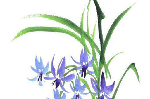 属牛36岁本命年很可怕 运势波动分析