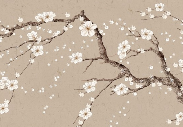 85属牛人最旺的年龄 35岁行大运 最易发财