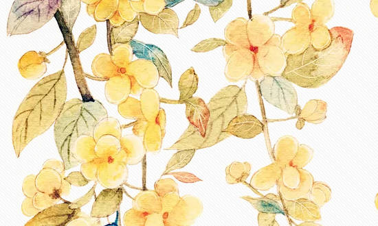 木旺缺金适合什么工作,养什么植物好