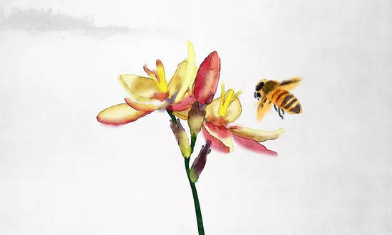 壁上土命怕什么命的人,壁上土运势怎样