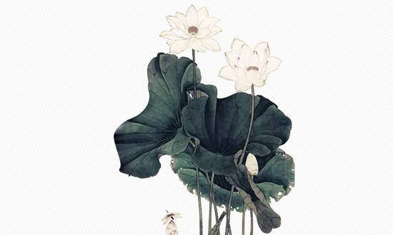 大富大贵只有2种命格,命格必备条件