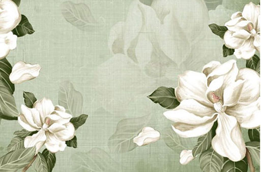 1997属牛一生三大劫难 分别在什么年纪