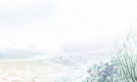 壁上土是土命还是金命,什么是壁上土