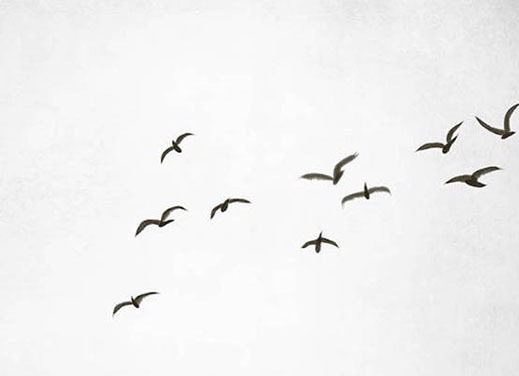 老人本命年送礼物禁忌 送桃木剑可以辟邪