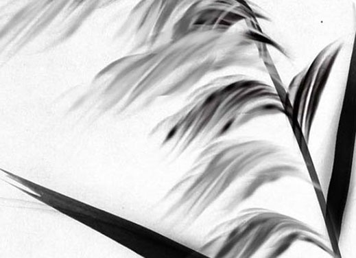 本命年红腰带洗澡时候能取下来吗 红绳乱丢影响运势