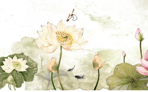 怎么看子女缘什么时候来 如何从八字当中看子女缘