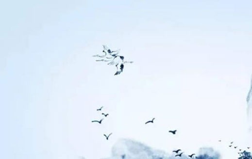 本命年的人需要买什么东西 红袜子防小人