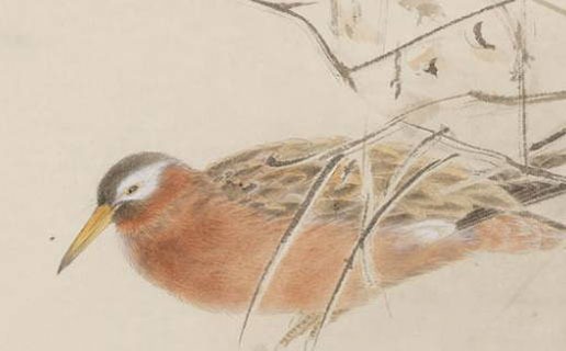 两人缘分已尽的三个征兆 出现这样的问题就不要勉强了