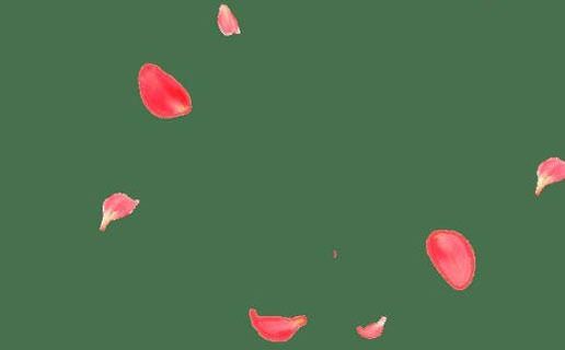 放不下的就是缘分未尽吗  女人什么样的八字婚姻很幸福