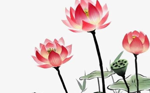 测子女缘何时到来免费 八字如何测子女缘