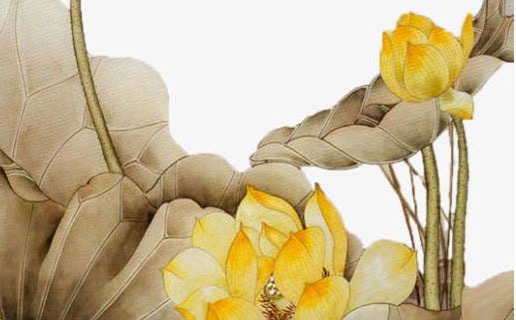 为何有些人姻缘迟迟不来 要找找自身有什么原因