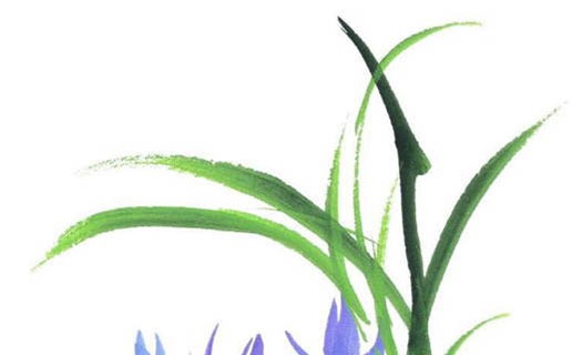 牛年午时出生的女孩命运 午时出生的女孩人缘很好