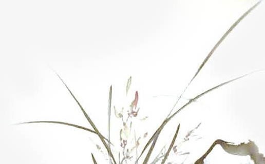 女娃午时生好不好 午时出生的女生运势如何