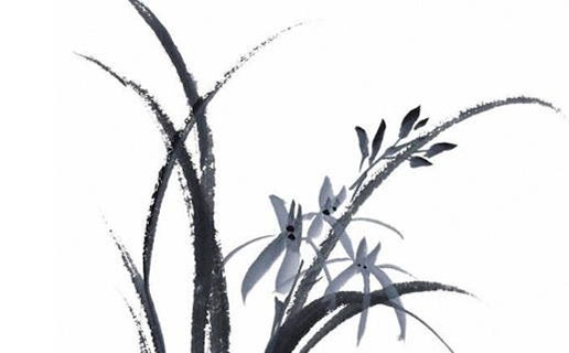 女的午时生有什么不好  什么时辰出生的人运势好