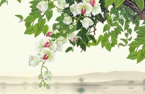 算子女什么时候会来免费 如何计算自己的子女缘