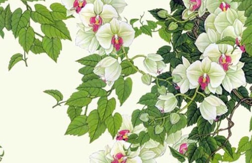 姻缘到来的几大预兆 求姻缘最灵的方法