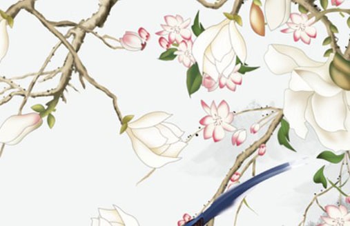 生肖属虎生牛宝宝好不好 属虎人和属猪生肖相合