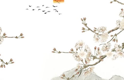 虎年生宝宝会不会不好 生肖虎命中有贵人扶持