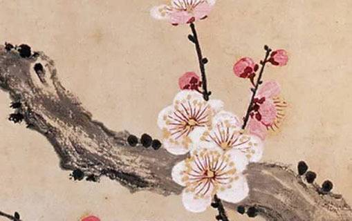 海中金命的女人命里缺什么 如何改善运势