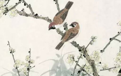 什么可以旺海中金命 遇火土可强化运势