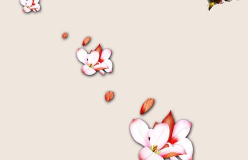 测试你该离婚吗 八字测会离婚概率