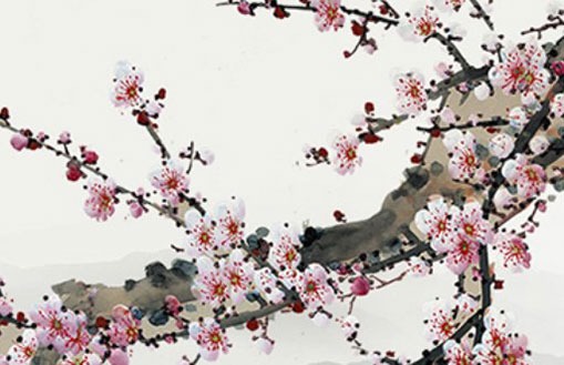 霜降生孩子有什么说法 这天出生孩子名字推荐