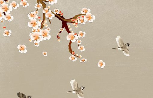 小雪出生的女孩命运 此节气吃羊肉营养丰富驱寒滋补