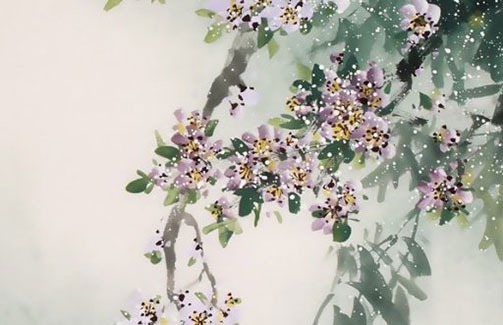 圣诞节出生的女孩命运 爱情财富双丰收