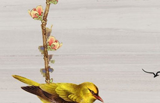 小年出生的男孩命运好吗 命中喜火有福有禄