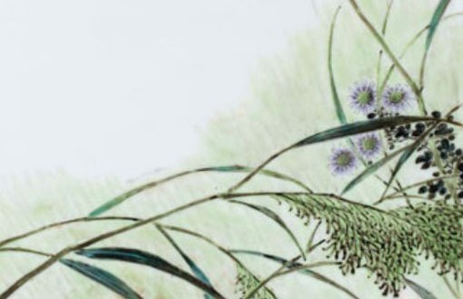 正月初一午时出生的女孩命格解析 贵人助福禄命