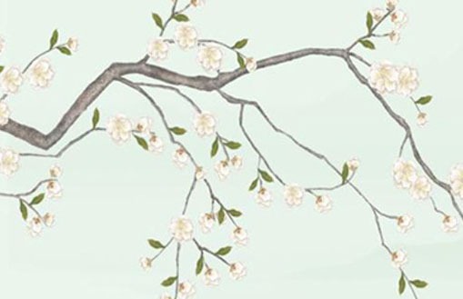 为什么说正月初二的女孩命硬 财源广进生活顺遂