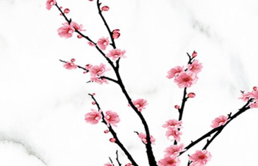 大年初三生日的人命好不好 天贵星保佑富贵