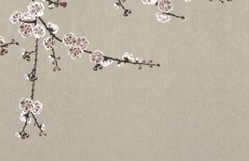 大年初三出生的男孩是什么命 食禄丰盈财运佳