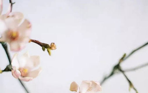 正月初九出生命运好不好 是什么星座