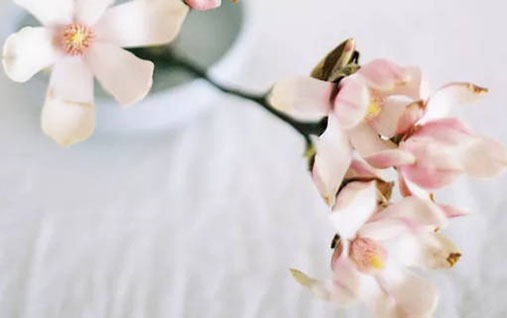 正月初九出生的男孩命好吗 此日生个性特点