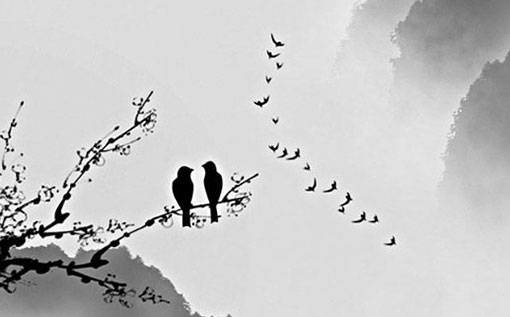 1961年出生的属牛人本命年能搬家吗 搬家改变运势吗